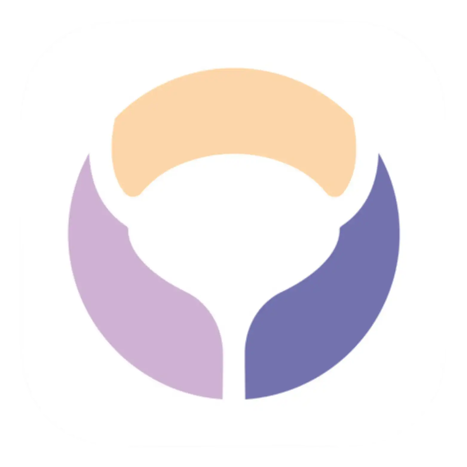 Kontina App Icon