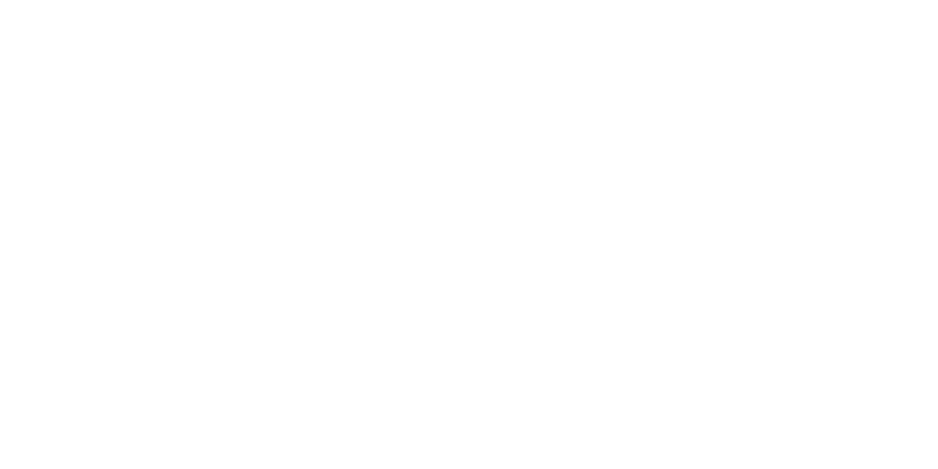 Logo Learning Budget